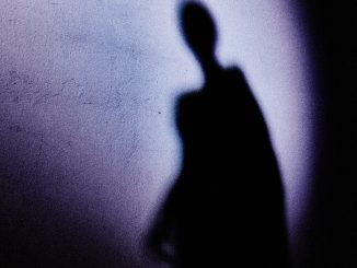 Culture of domestic violence within police down to ‘epic’ failure of leadership